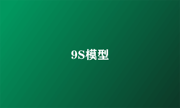 9S模型