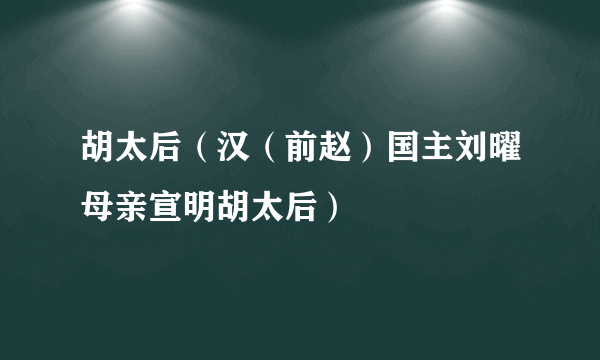 胡太后（汉（前赵）国主刘曜母亲宣明胡太后）