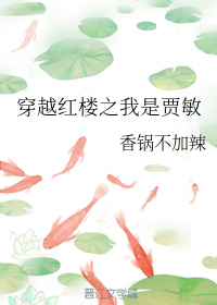 穿越红楼之我是贾敏
