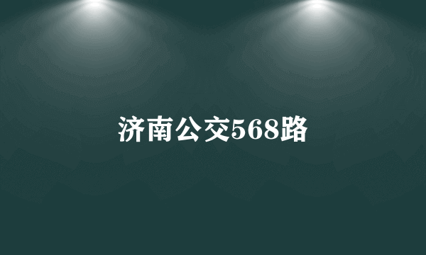 济南公交568路