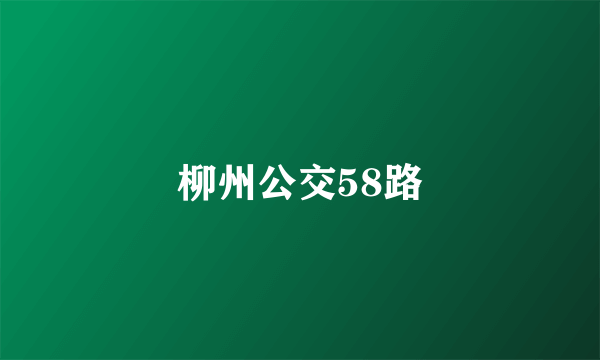 柳州公交58路