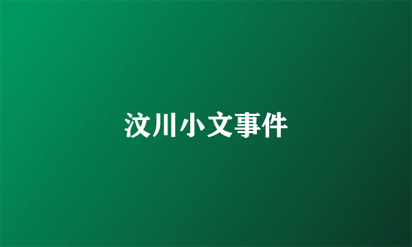 汶川小文事件