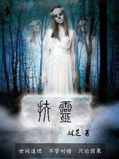 扶灵（林芝创作的网络小说）
