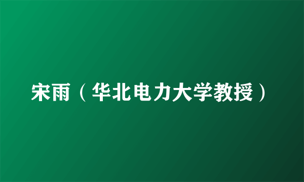 宋雨（华北电力大学教授）