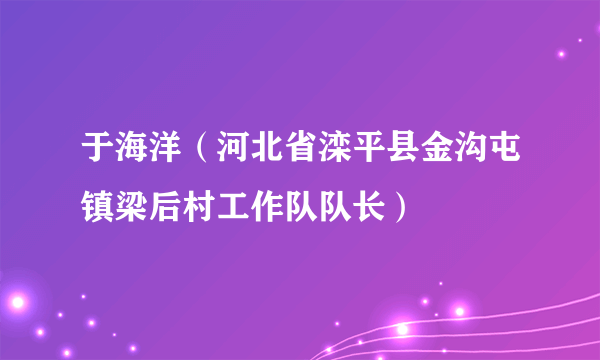 于海洋（河北省滦平县金沟屯镇梁后村工作队队长）
