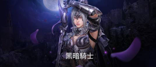 黑暗骑士（游戏《黑色沙漠》中的职业）