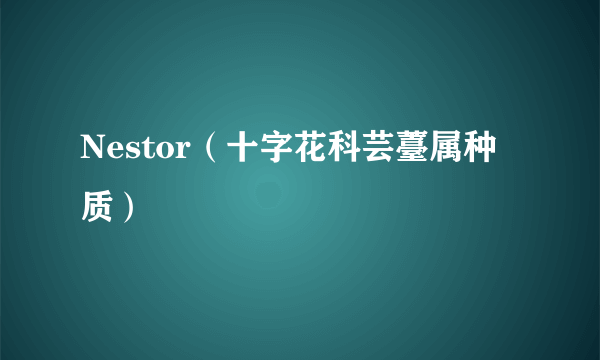 Nestor（十字花科芸薹属种质）
