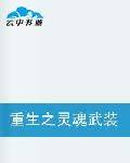 重生之灵魂武装