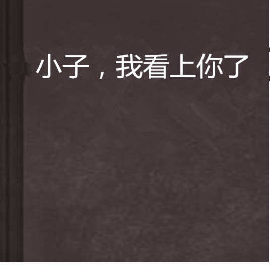 小子，我看上你了（盗版作家创作的网络小说）