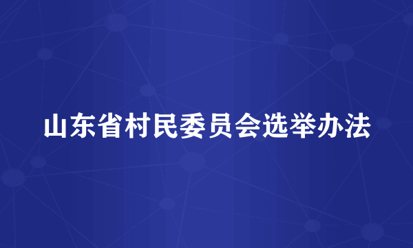 山东省村民委员会选举办法