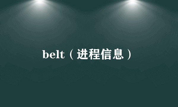 belt（进程信息）