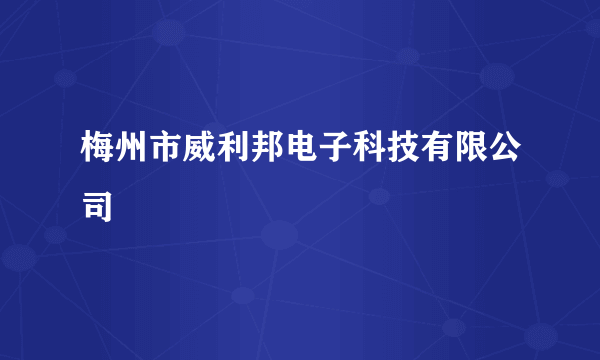梅州市威利邦电子科技有限公司