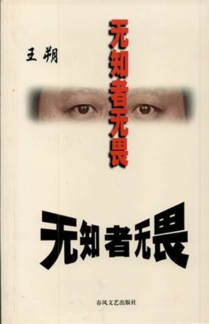 无知者无畏（2000年春风文艺出版社出版的图书）