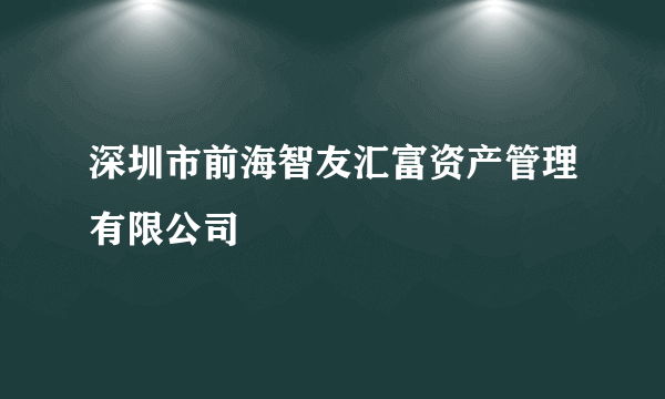 深圳市前海智友汇富资产管理有限公司