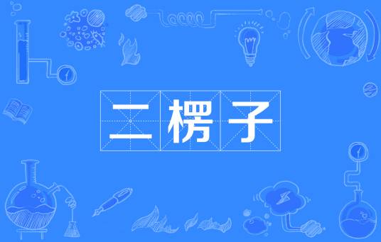 二楞子（现代标准汉语的通称之一）