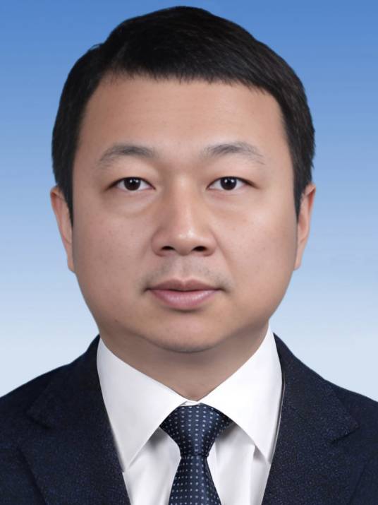 张国强（第十四届全国人大代表、北京亿华通科技股份有限公司董事长）