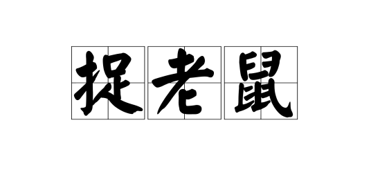 捉老鼠
