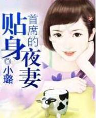首席的贴身夜妻