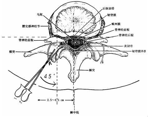 颈肩腰腿疼