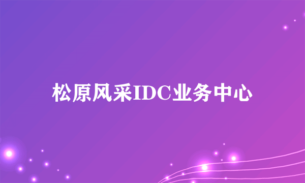 松原风采IDC业务中心