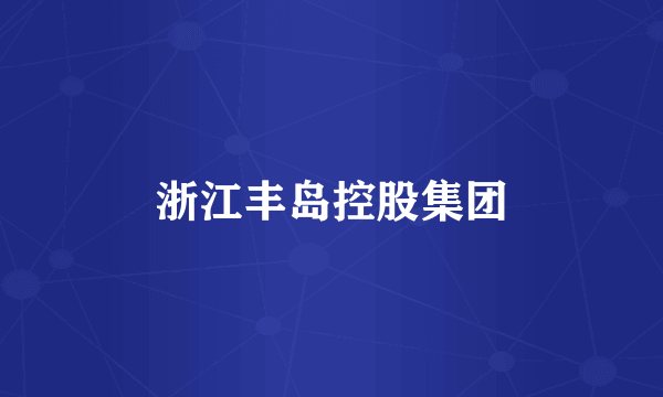 浙江丰岛控股集团