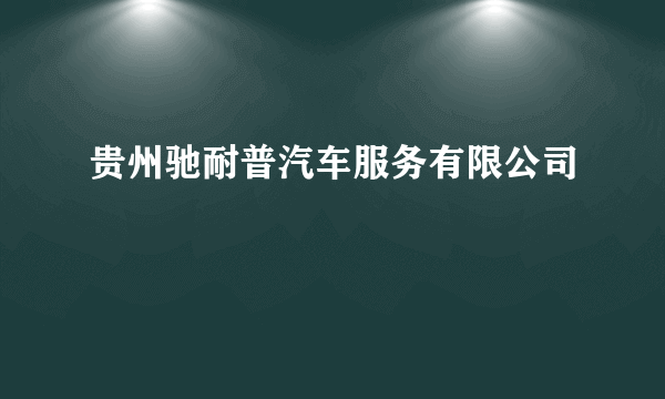 贵州驰耐普汽车服务有限公司