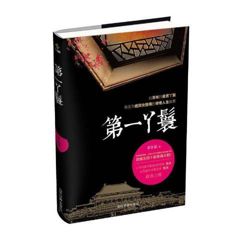 第一丫鬟（2016年当代世界出版社出版的图书）