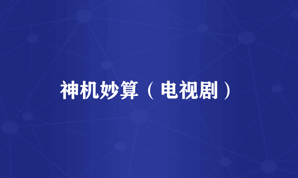 神机妙算（电视剧）