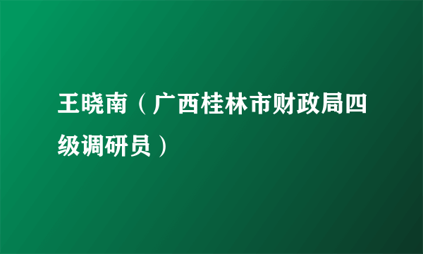 王晓南（广西桂林市财政局四级调研员）