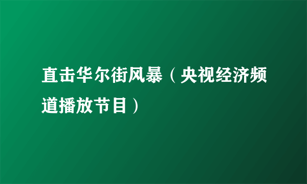 直击华尔街风暴（央视经济频道播放节目）