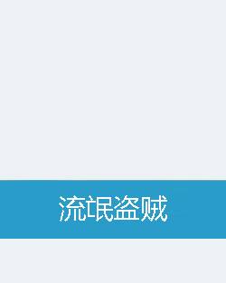 流氓盗贼