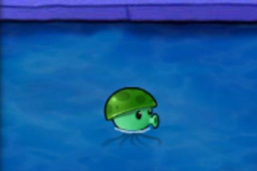水兵菇