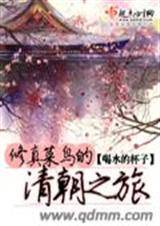 修真菜鸟的清朝之旅