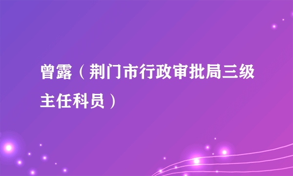曾露（荆门市行政审批局三级主任科员）