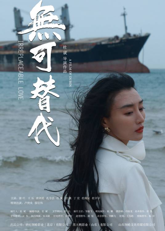 无可替代（杜斌执导的院线电影）