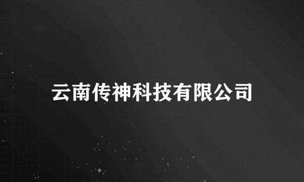 云南传神科技有限公司