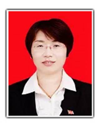 李丽云（甘肃省平凉市灵台县委常委、统战部部长、县政协党组副书记）