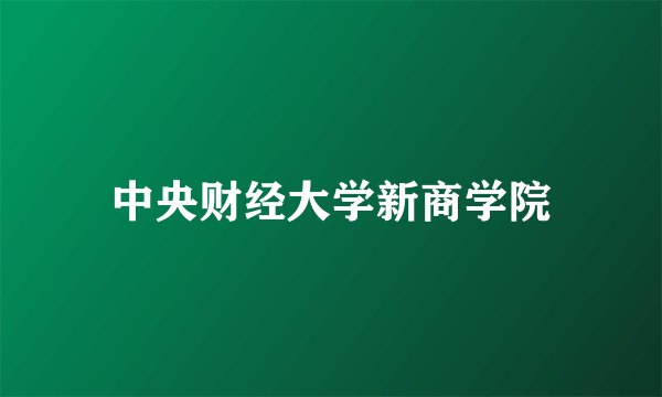 中央财经大学新商学院