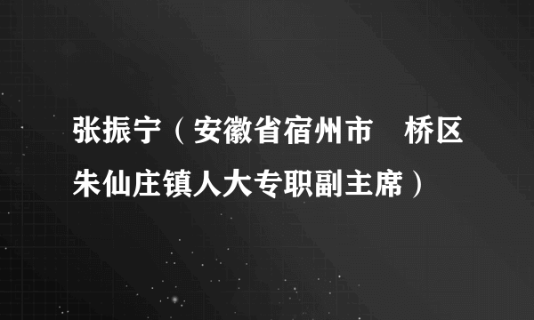 张振宁（安徽省宿州市埇桥区朱仙庄镇人大专职副主席）