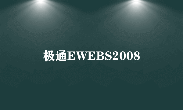 极通EWEBS2008