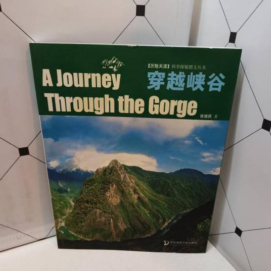 穿越峡谷（2004年社会科学文献出版社出版的图书）