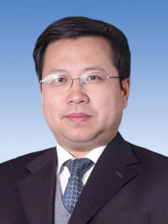 唐立新（中国工程院院士，东北大学副校长）