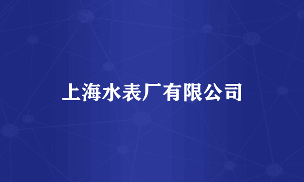 上海水表厂有限公司