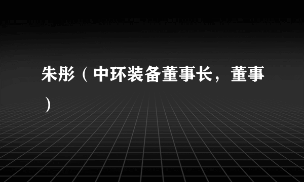 朱彤（中环装备董事长，董事）