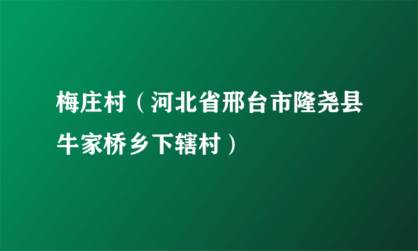 梅庄村（河北省邢台市隆尧县牛家桥乡下辖村）