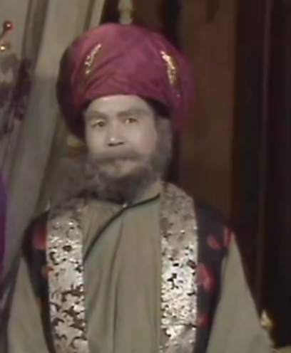 朱紫国老太医