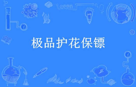 极品护花保镖（竹管所著小说）