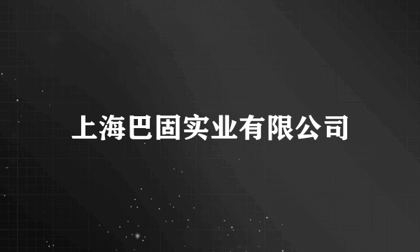 上海巴固实业有限公司