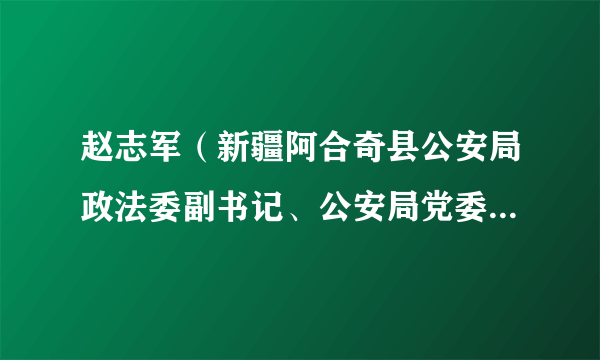 赵志军（新疆阿合奇县公安局政法委副书记、公安局党委书记、局长）