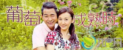 葡萄成熟时（2014年谢其文主演电视剧）